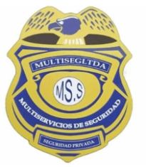 01 multisegltda